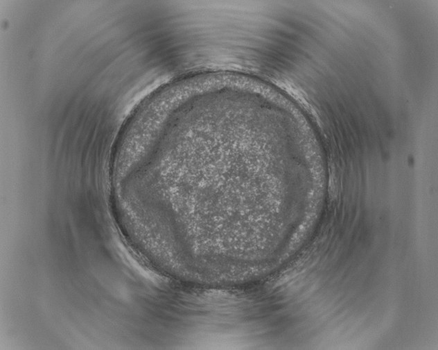 X0000088180390200706121656