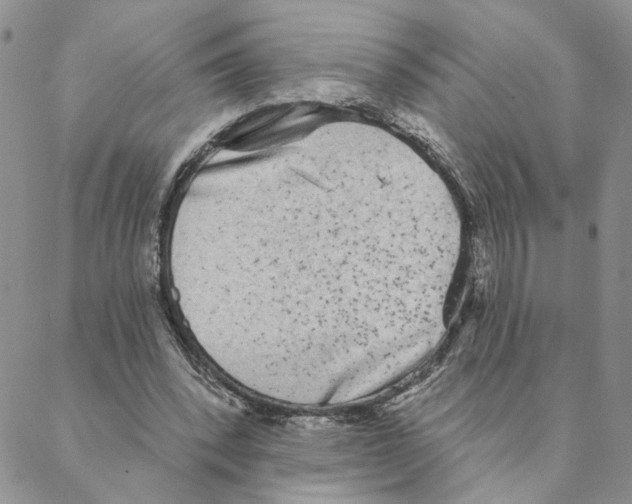 X0000088180392200706121656