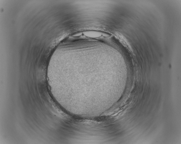 X0000088180393200706121656