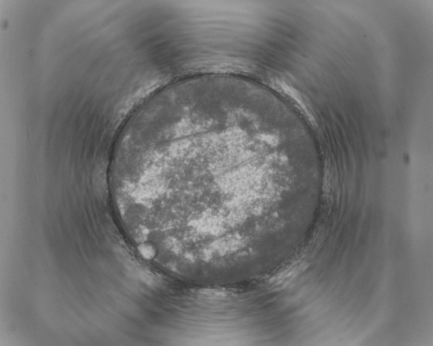 X0000088180394200706121656