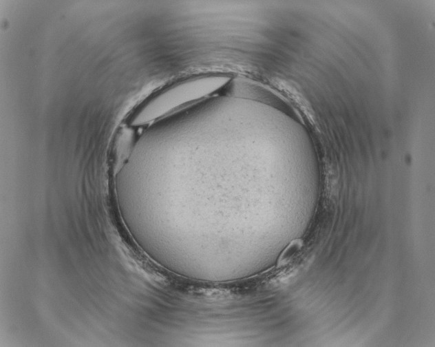 X0000088180395200706121656