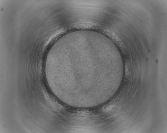 X0000088180396200706121656