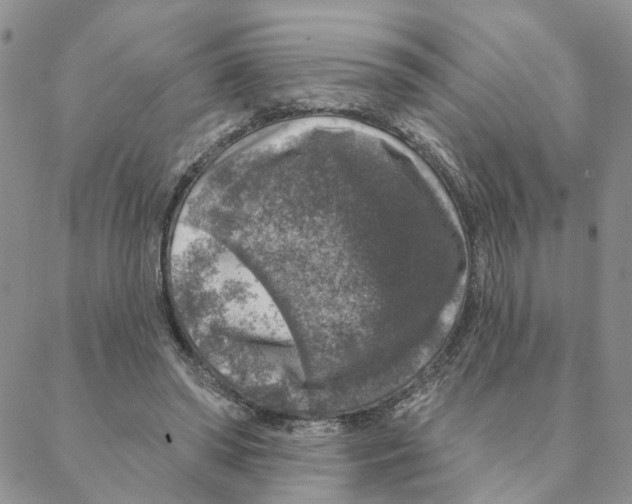 X0000088180398200706121656