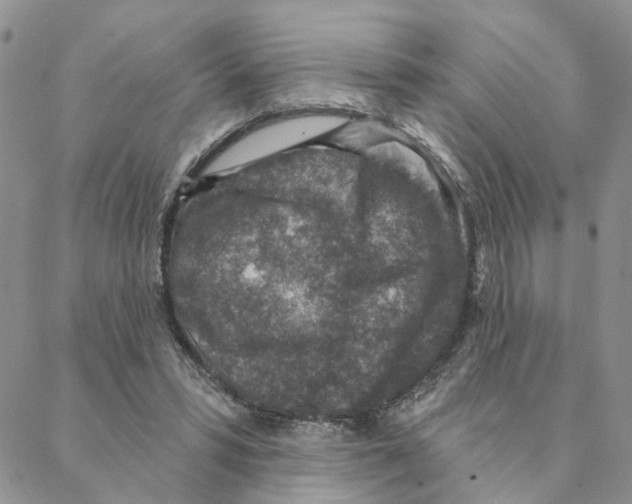 X0000088180399200706121656