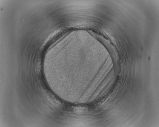 X0000088180400200706121656