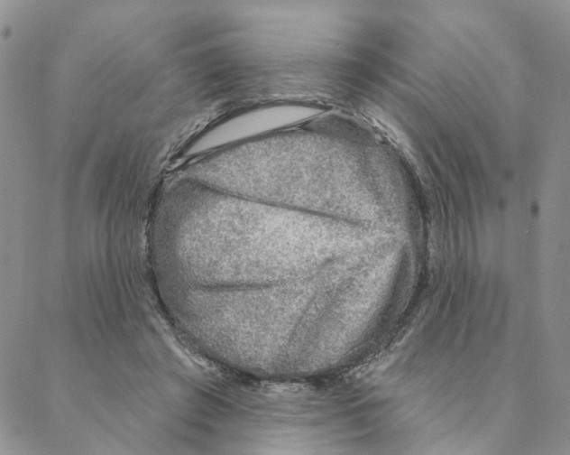 X0000088180401200706121656