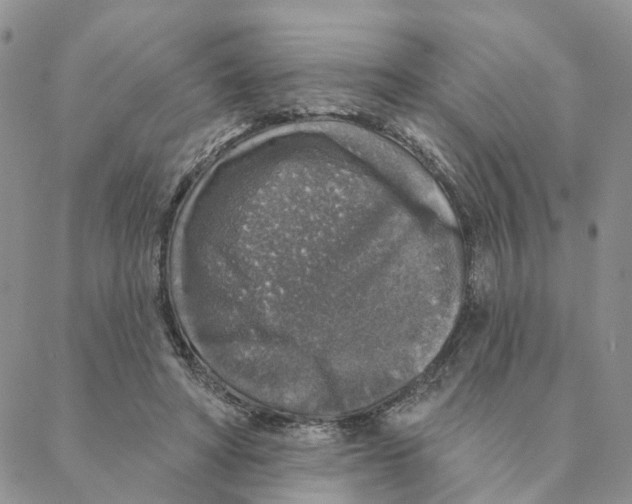 X0000088180402200706121656