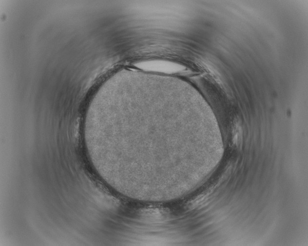 X0000088180404200706121656