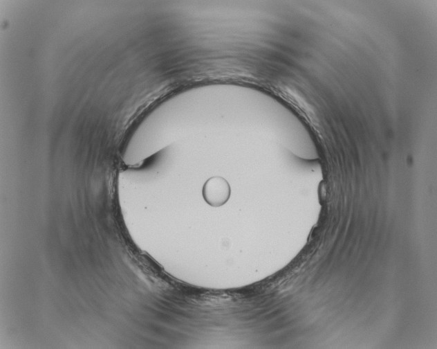 X0000088180405200706121656