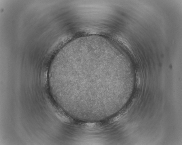 X0000088180406200706121656