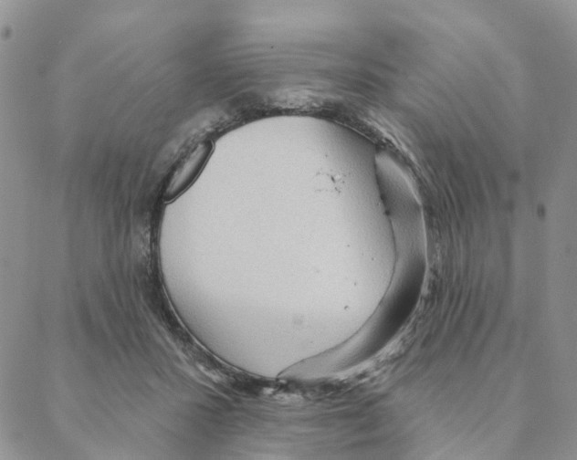 X0000088180407200706121656