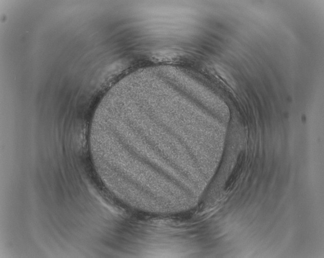 X0000088180408200706121656