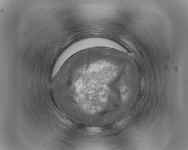 X0000088180409200706121656