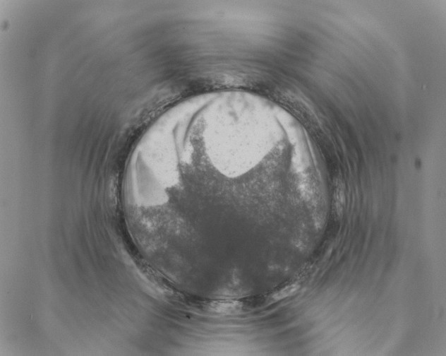 X0000088180410200706121656