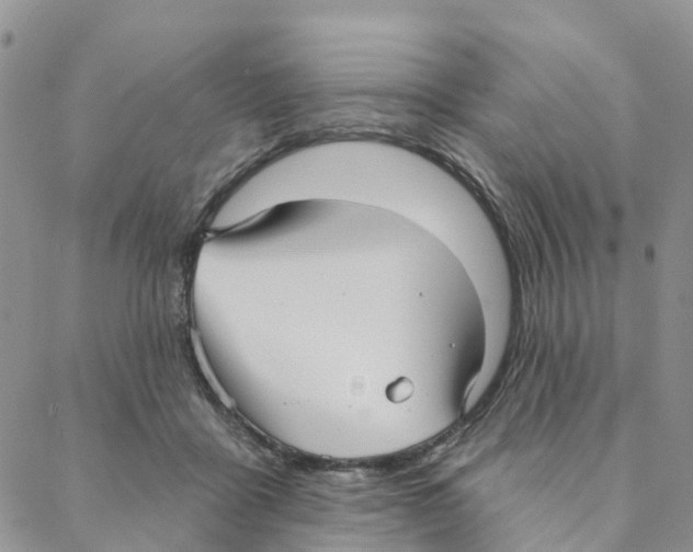 X0000088180411200706121656