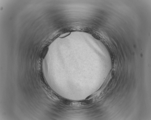 X0000088180413200706121656