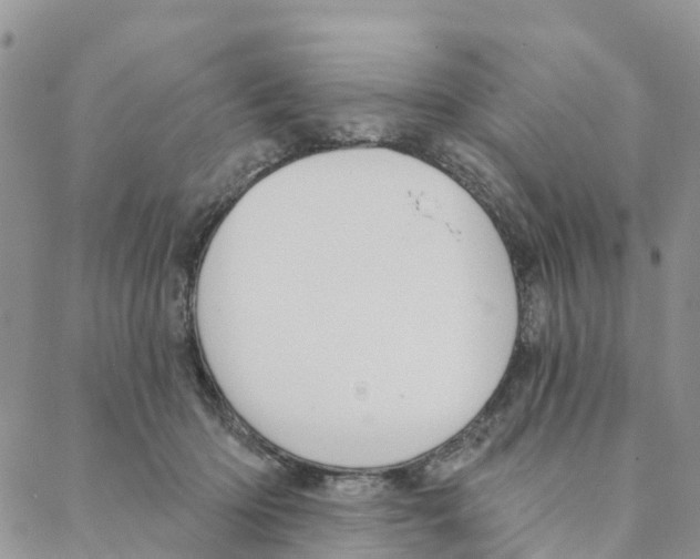 X0000088180414200706121656