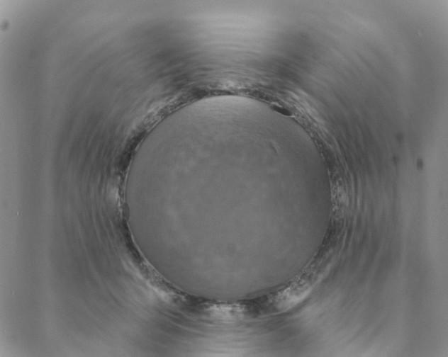 X0000088180415200706121656