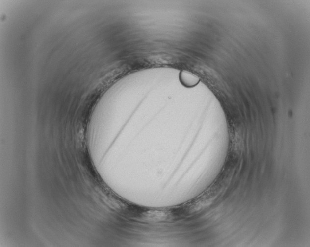 X0000088180418200706121656