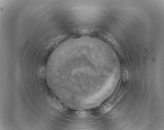 X0000088180419200706121656