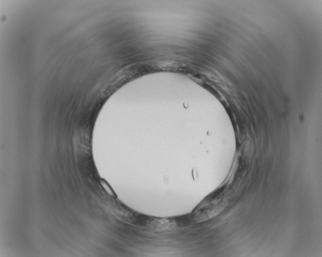 X0000088180421200706121656