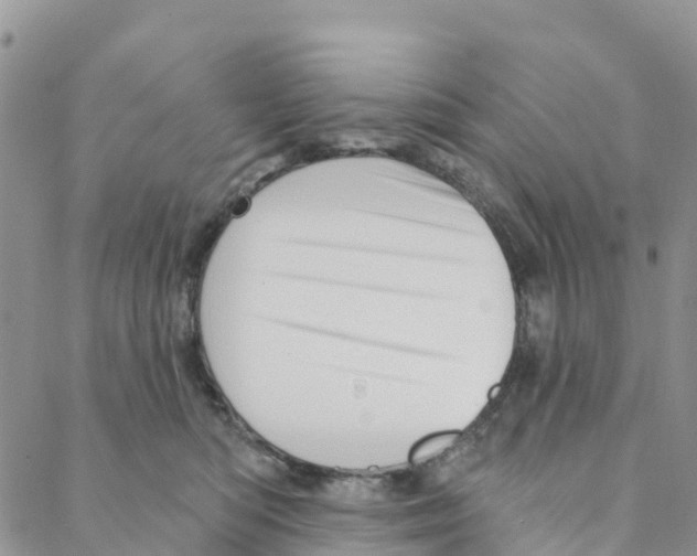 X0000088180422200706121656