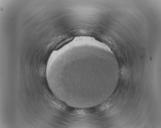 X0000088180423200706121656