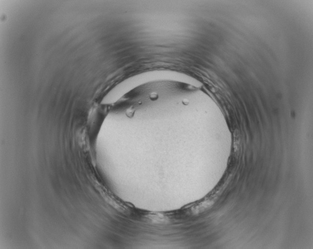 X0000088180425200706121655