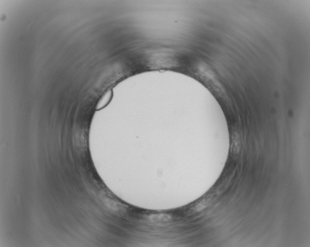 X0000088180426200706121655