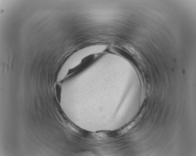 X0000088180429200706121655