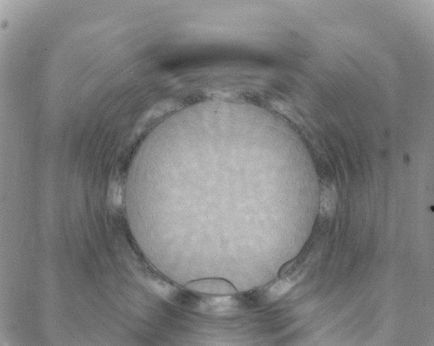 X0000088180431200706121655