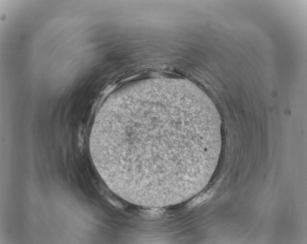 X0000088180432200706121655