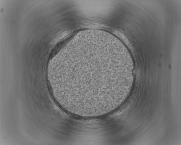 X0000088180433200706121655