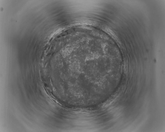 X0000088180434200706121655