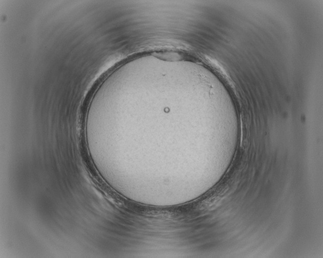 X0000088180435200706121655