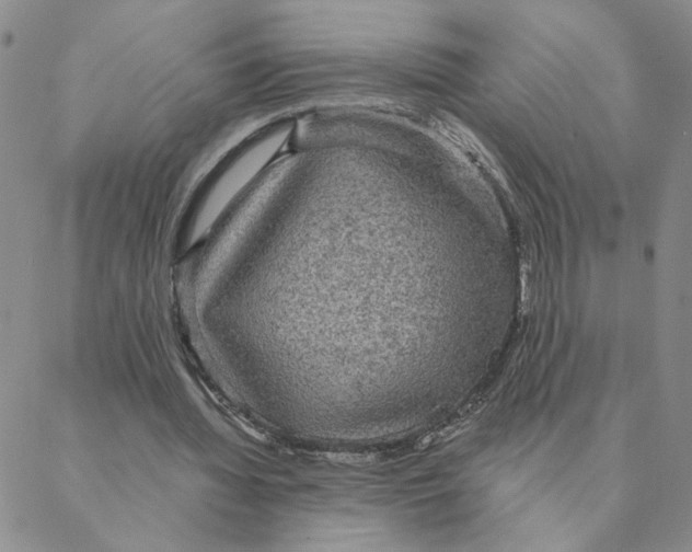 X0000088180436200706121655