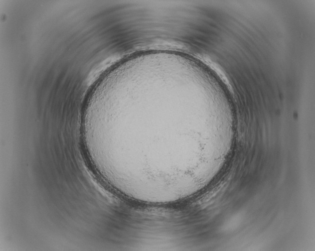 X0000088180437200706121655