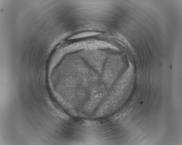 X0000088180442200706121655