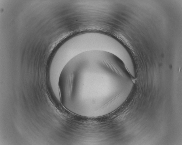 X0000088180444200706121655