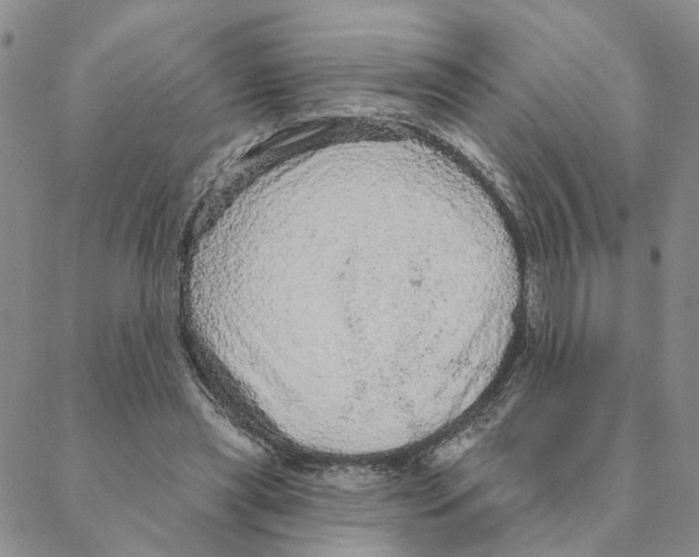 X0000088180445200706121655