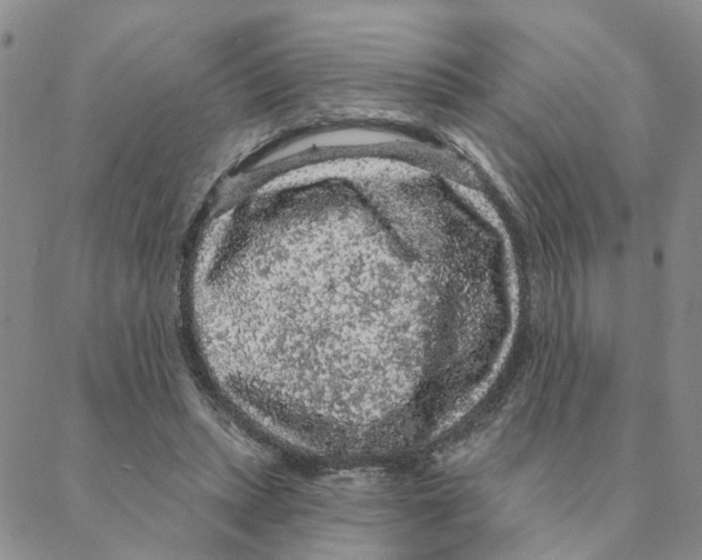 X0000088180447200706121655