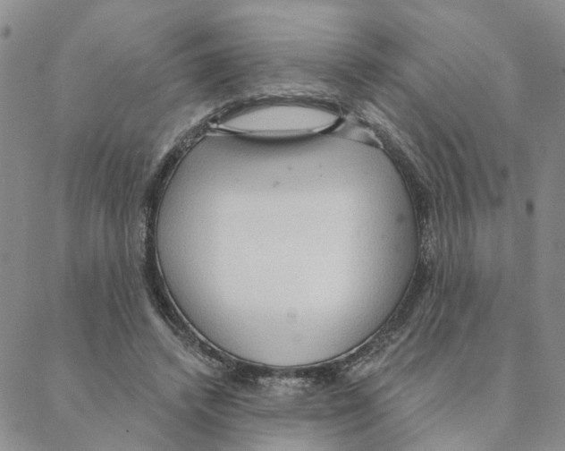 X0000088180448200706121655