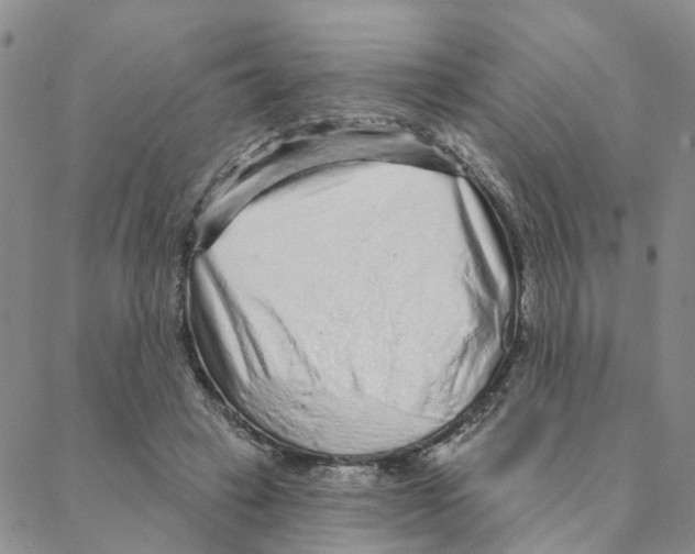 X0000088180449200706121655