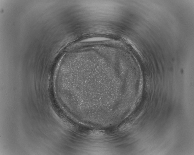 X0000088180451200706121655