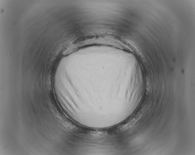 X0000088180453200706121655