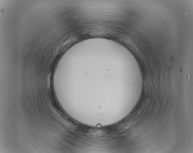 X0000088180454200706121655