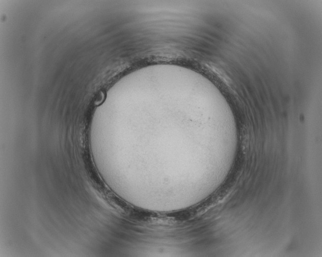 X0000088180455200706121655