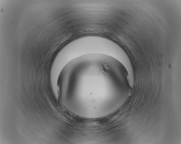 X0000088180456200706121655