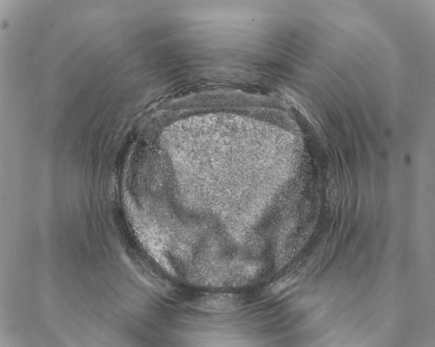 X0000088180459200706121655