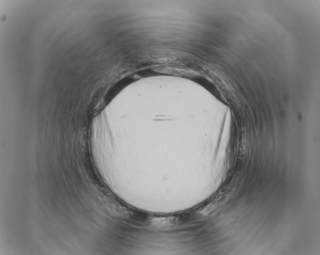 X0000088180461200706121655